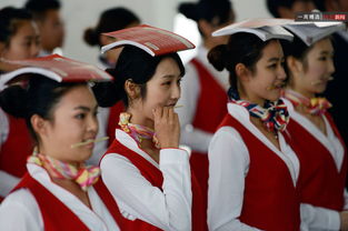 網(wǎng)易一周圖片精選 11.29-12.5 廣告設計的視覺盛宴與創(chuàng)意啟示